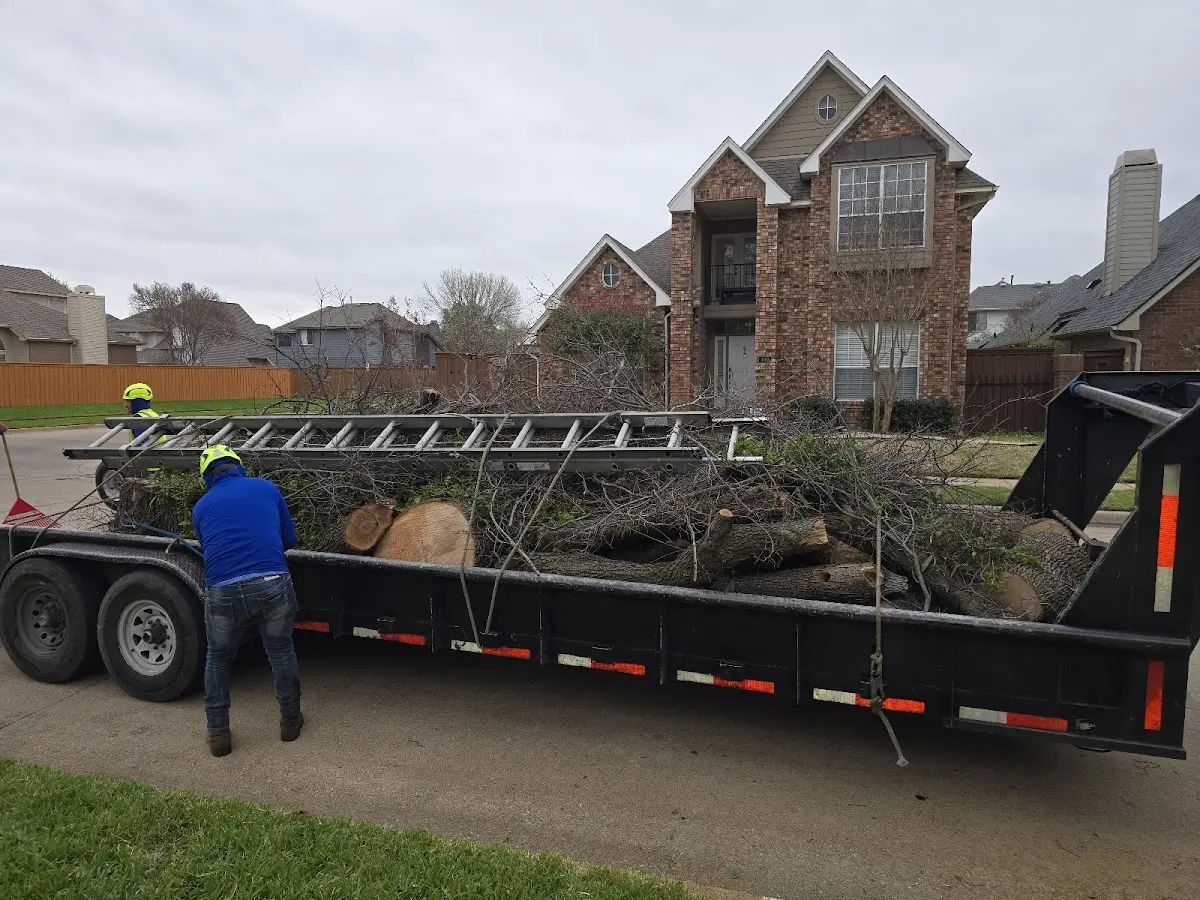 Expert Tree Removal with proper safety equipment in Lake Ariel